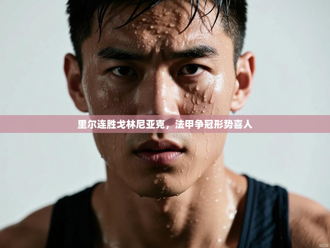 里尔连胜戈林尼亚克，法甲争冠形势喜人  第1张