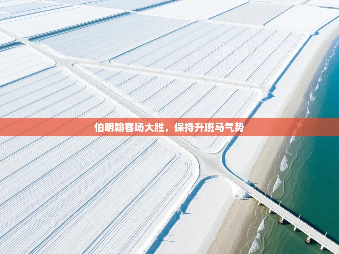 伯明翰客场大胜,保持升班马气势 第1张