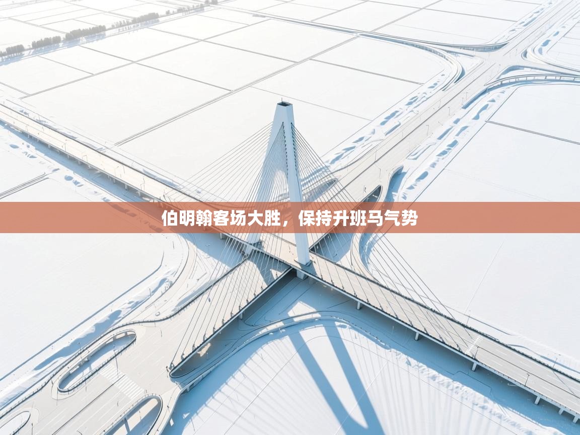 伯明翰客场大胜,保持升班马气势 第2张