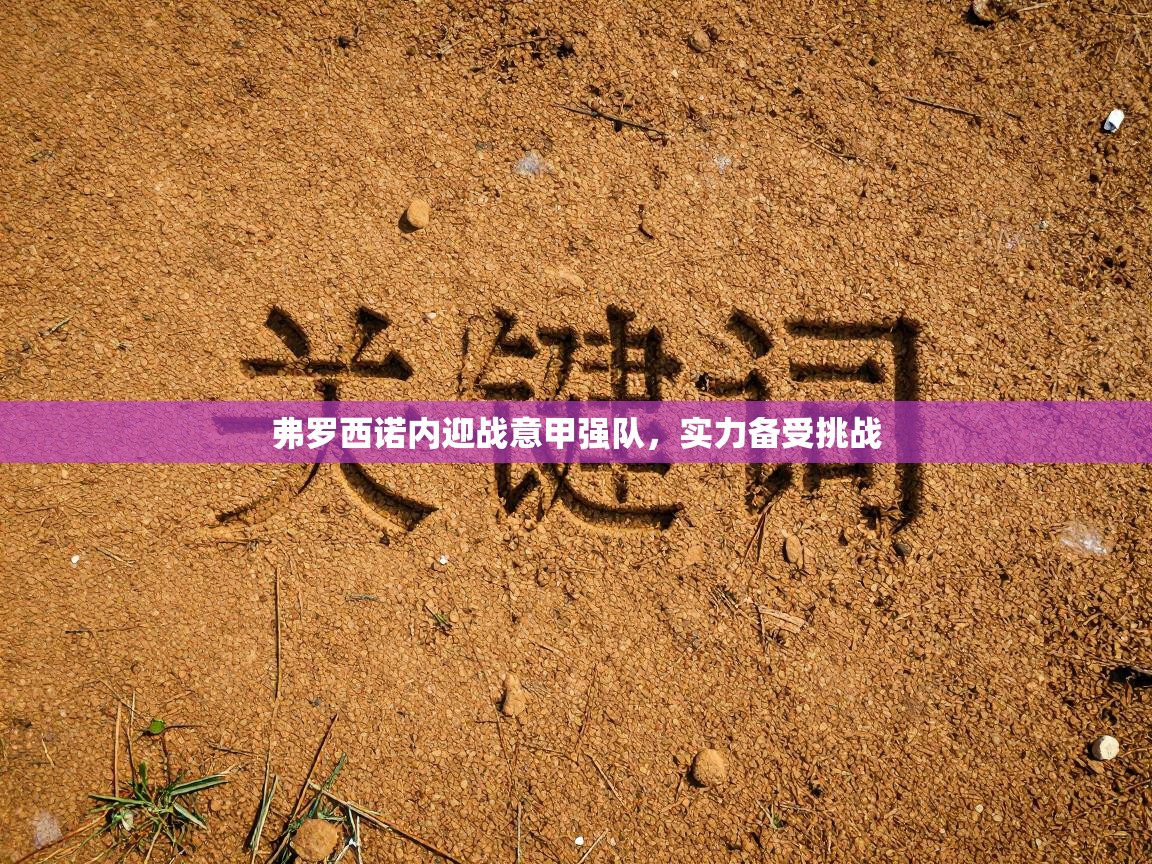 弗罗西诺内迎战意甲强队，实力备受挑战  第2张