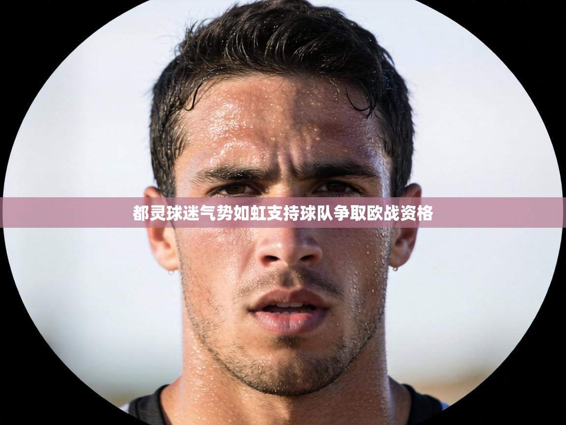 都灵球迷气势如虹支持球队争取欧战资格 第1张