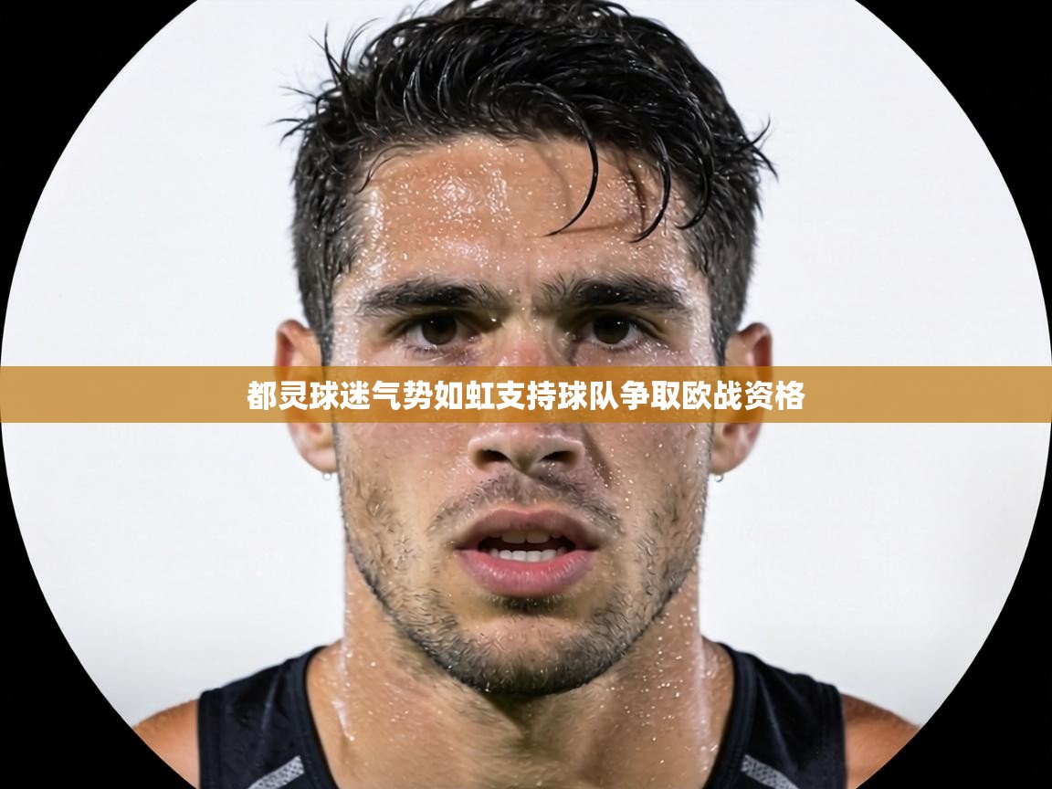 都灵球迷气势如虹支持球队争取欧战资格 第2张